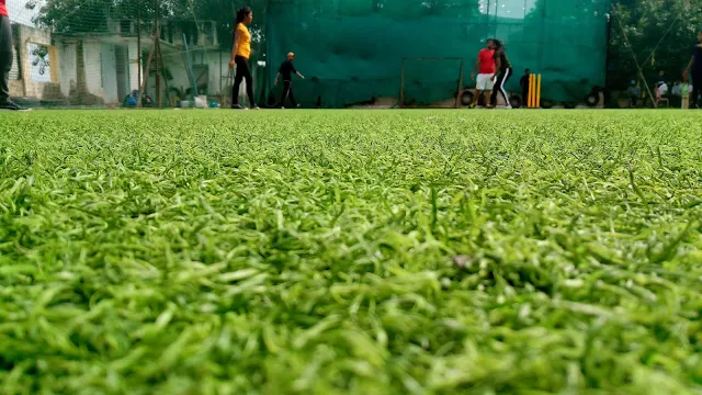 Turf photo 4