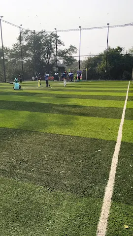 Turf photo 3