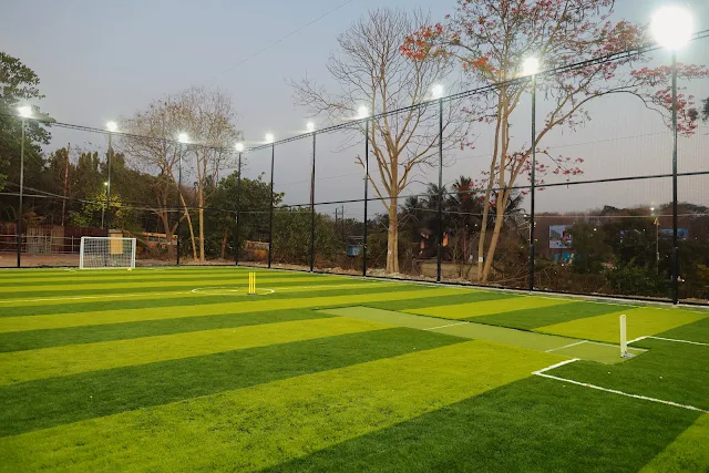 Turf main photo