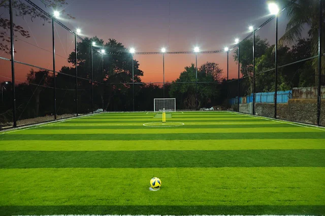 Turf photo 2