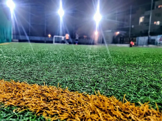 Turf photo 2