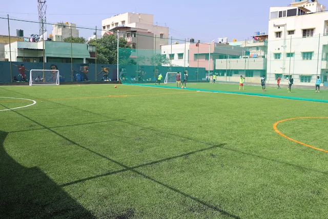 Turf main photo