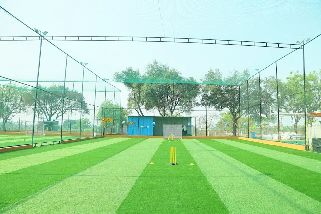 Turf photo 2