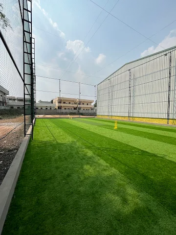Turf photo 3