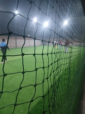 Turf photo 5