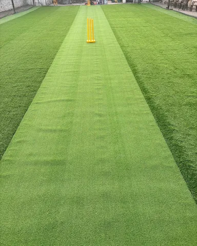 Turf photo 4