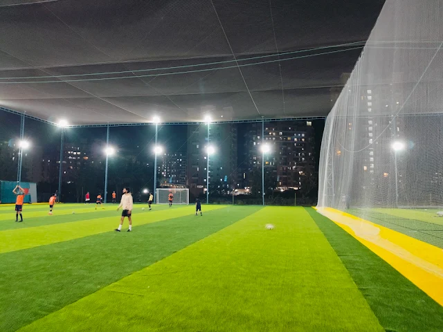 Turf photo 3