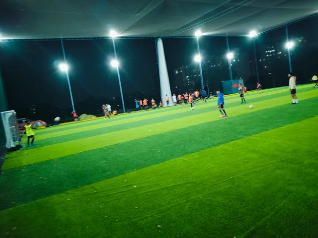 Turf photo 6