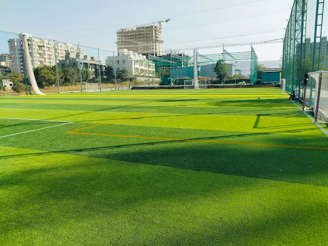 Turf photo 5