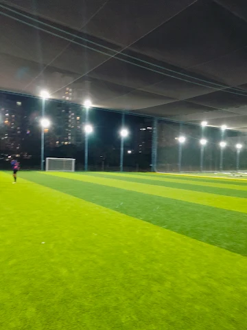 Turf photo 2
