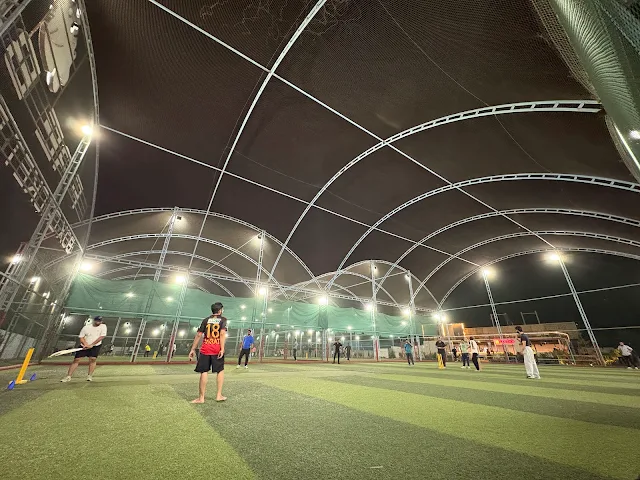 Turf photo 2