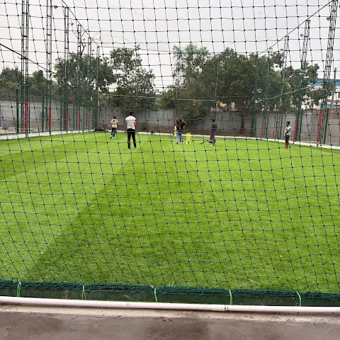 Turf photo 3