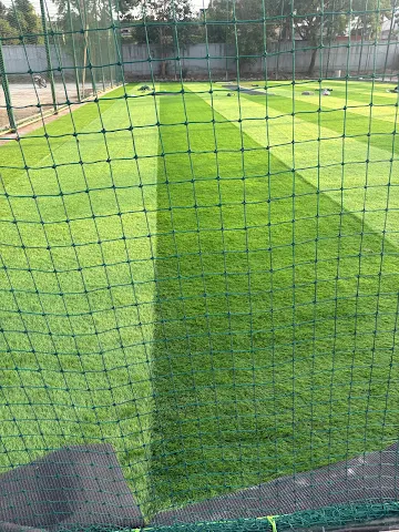 Turf photo 2