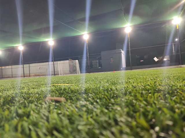 Turf photo 2