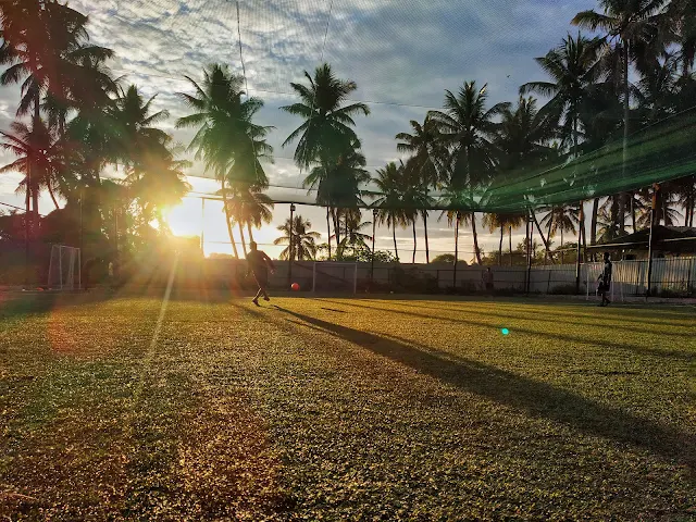 Turf photo 3