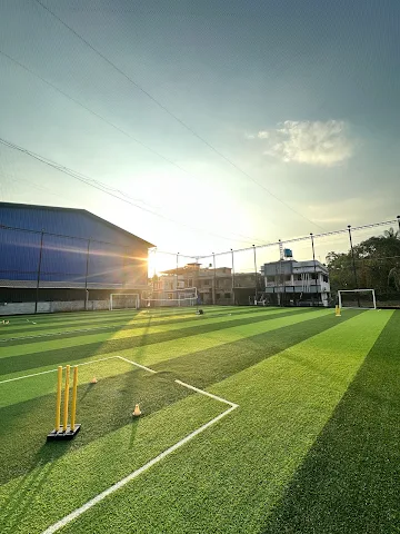 Turf photo 3