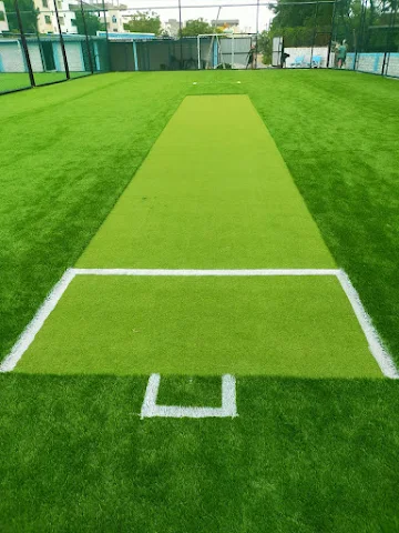 Turf photo 3