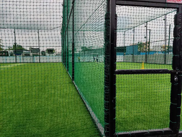 Turf photo 2