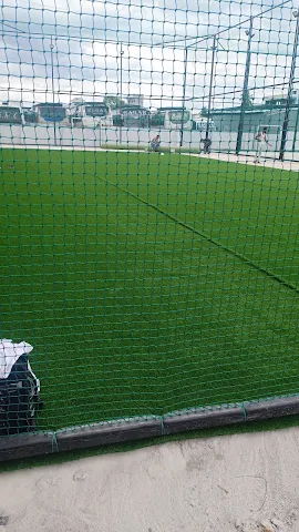 Turf photo 6