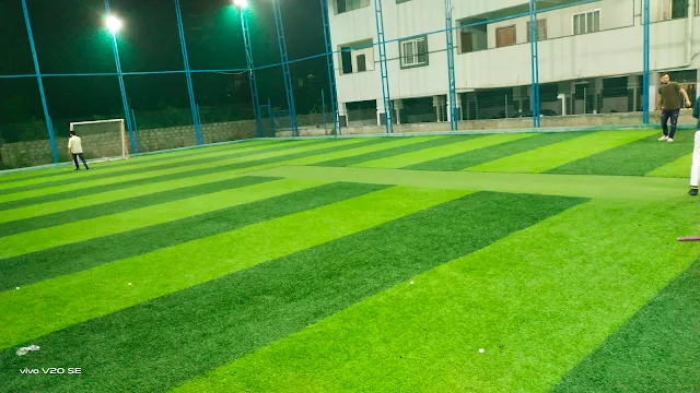 Turf photo 2