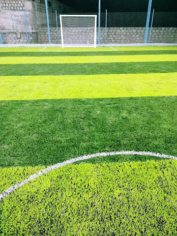 Turf photo 7