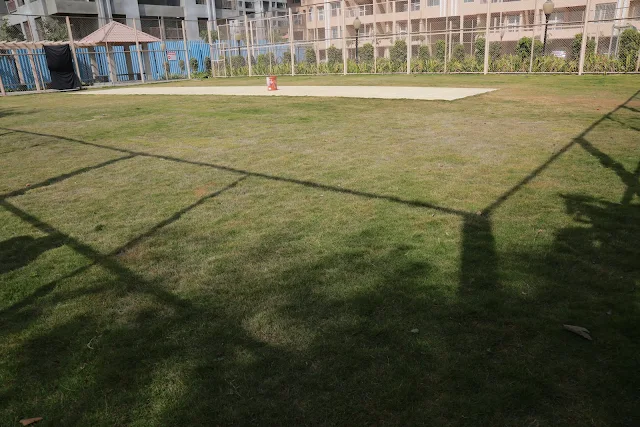 Turf main photo