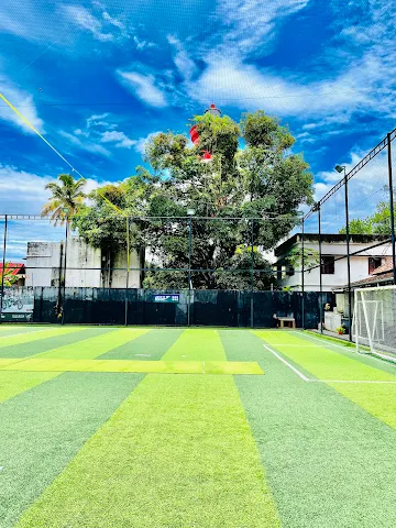 Turf photo 2