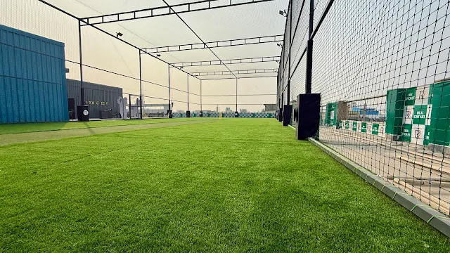Turf photo 5