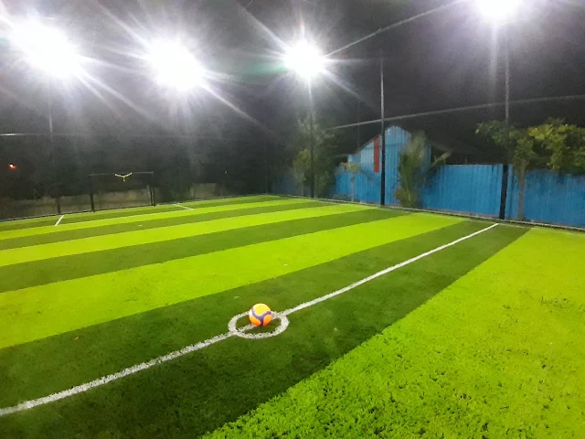 Turf photo 2