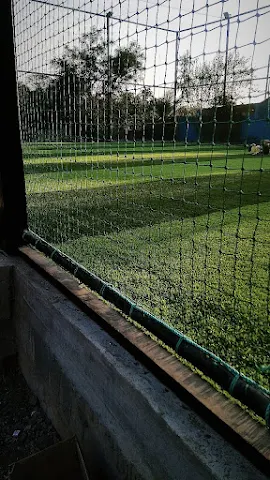 Turf photo 4