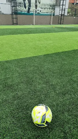 Turf photo 2