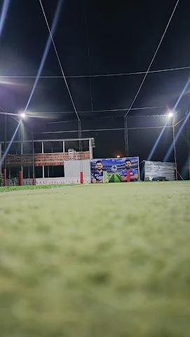 Turf photo 5