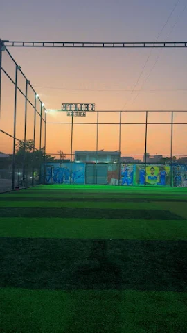 Elite Arena Turf