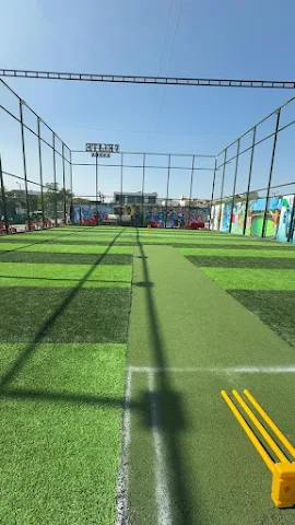 Turf photo 4