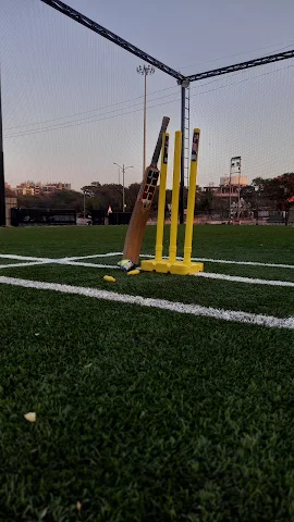 Turf photo 4