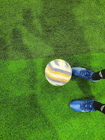 Turf photo 4