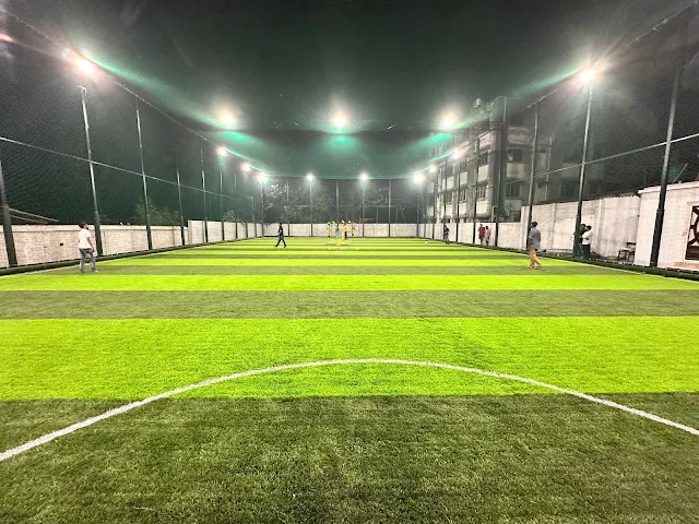 Turf photo 2