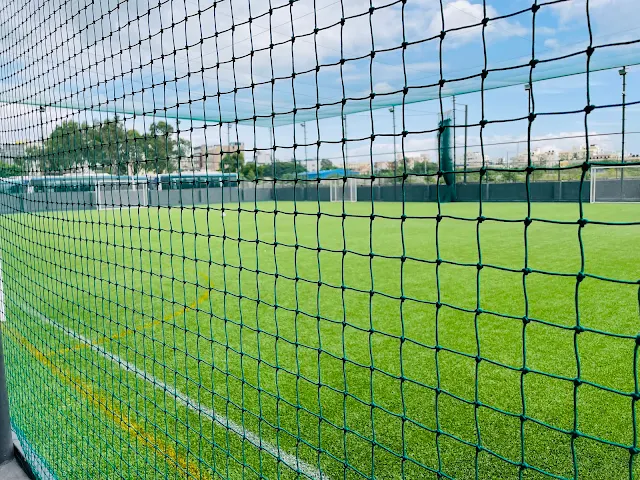 Turf photo 2