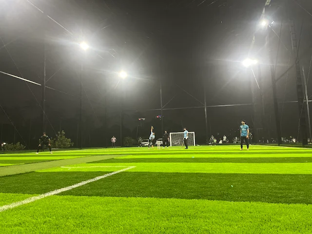 Turf photo 2