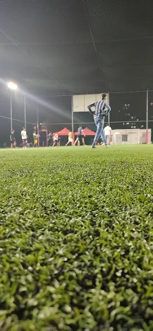 Turf photo 7