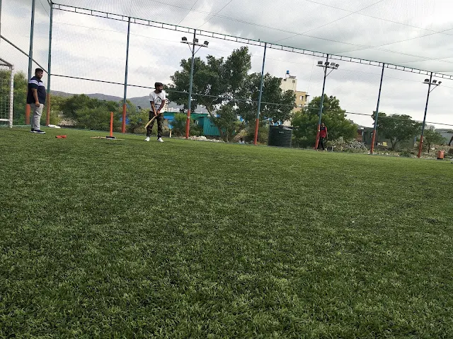 Turf photo 9