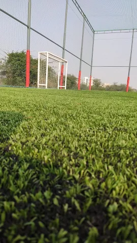 Turf photo 5