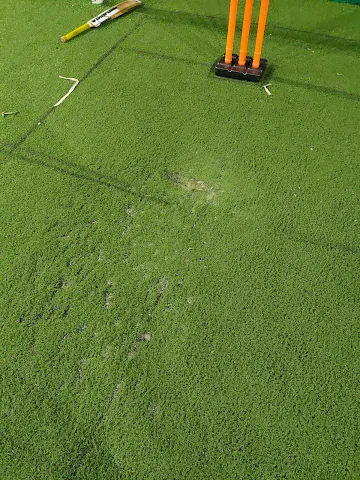 Turf photo 2