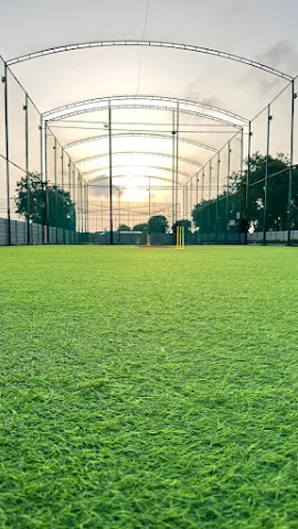Turf photo 3