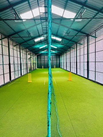 Turf photo 2