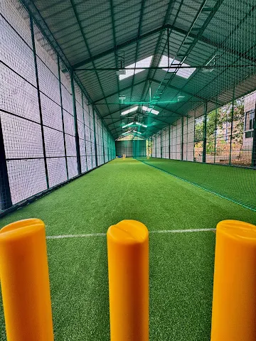 Turf photo 3