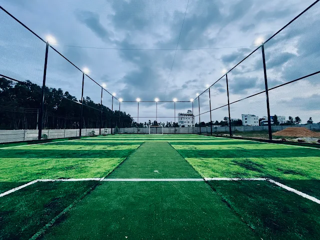 Turf main photo