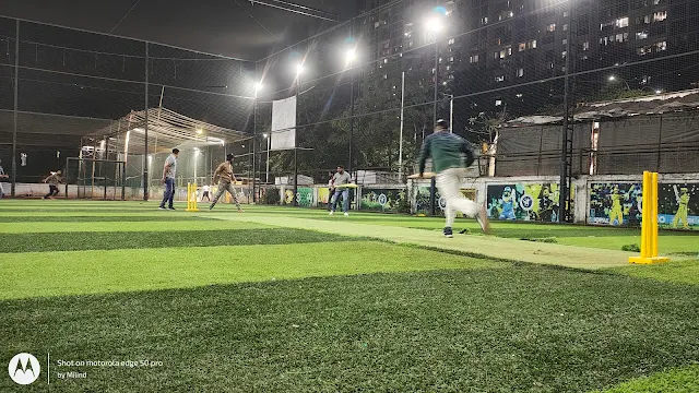 Turf main photo