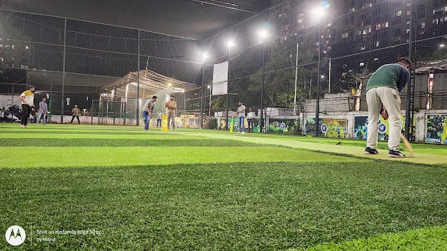 Turf photo 3
