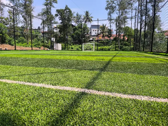 Turf photo 6